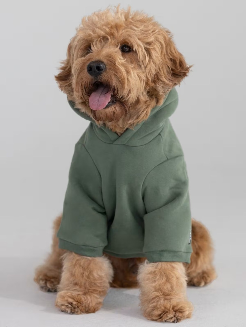 Comfrt Dog Hoodie - Forest Green Pet Sweatshirt 2XL